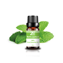 100 ٪ روغن مواد غذایی ارگانیک خالص Mentha Piperita