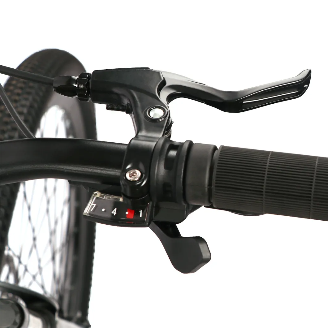Avasta New Arrival 21 Speed Steel Frame Disc Brake Mountain Bicycle