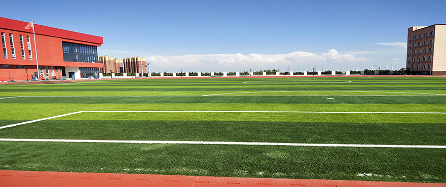 Football Artificial Grass