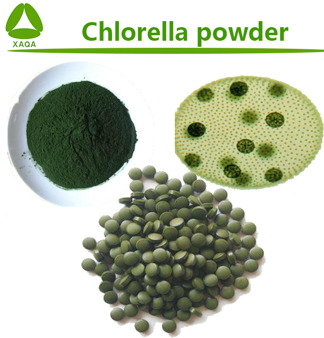 Chlorella powder