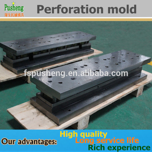 PUSHENG manufacturing Punching die mold