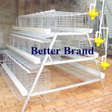 BT Factory Cheaper Price New design Chicken Cages For Layer Chicken Farm