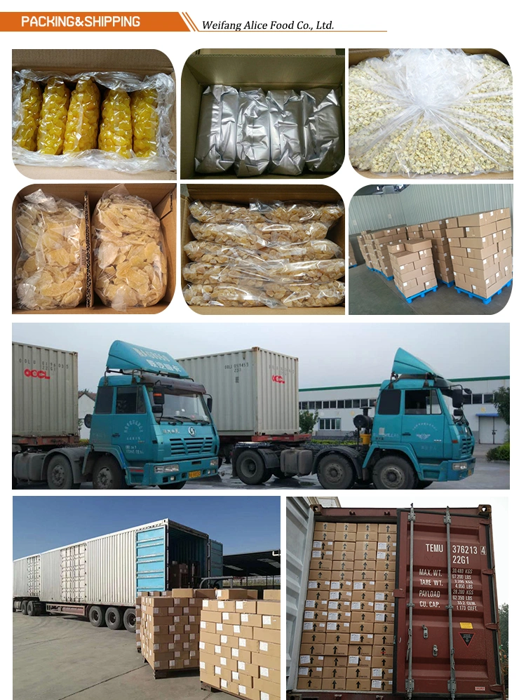 Chinese Dried Fruit Wholesale Dried Blueberry