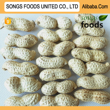 Best Ground Peanuts Inshell New Crop