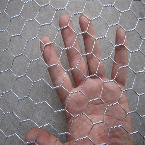 Hexagonal Chicken Roll Netting
