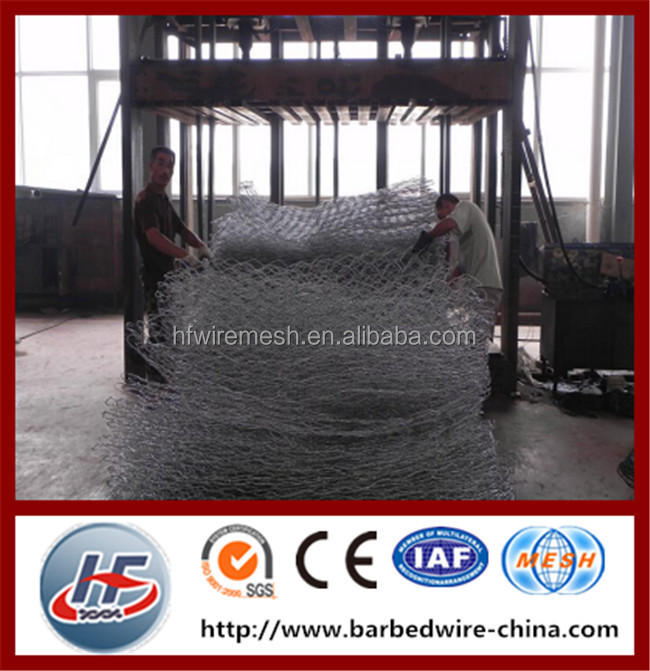 hexagon wire netting,chicken mesh,electro galvanized after weaving hexagonal wire netting