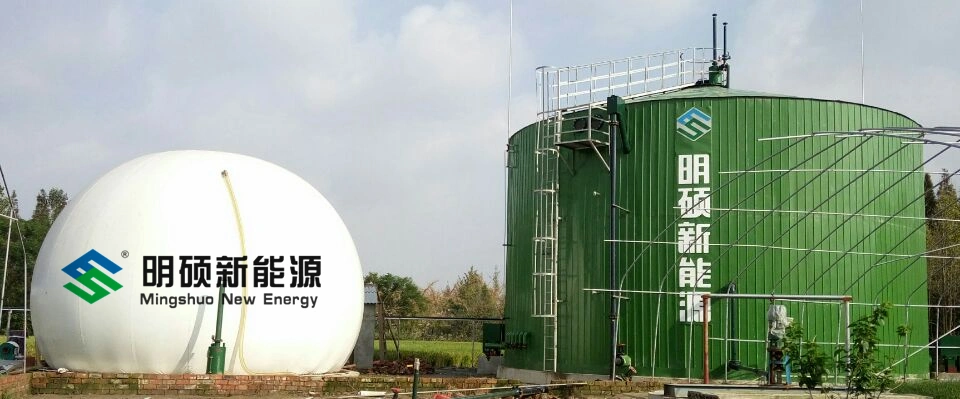 Anaerobic Bio-Reactor Fermenter for Biogas Generation