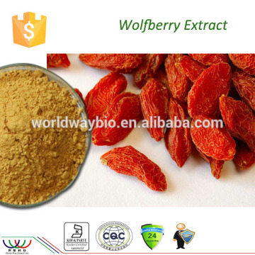 Free sample! cGMP Kosher FDA HACCP factory supply 30% polysaccharides factory supply wolfberry berry fruit extract