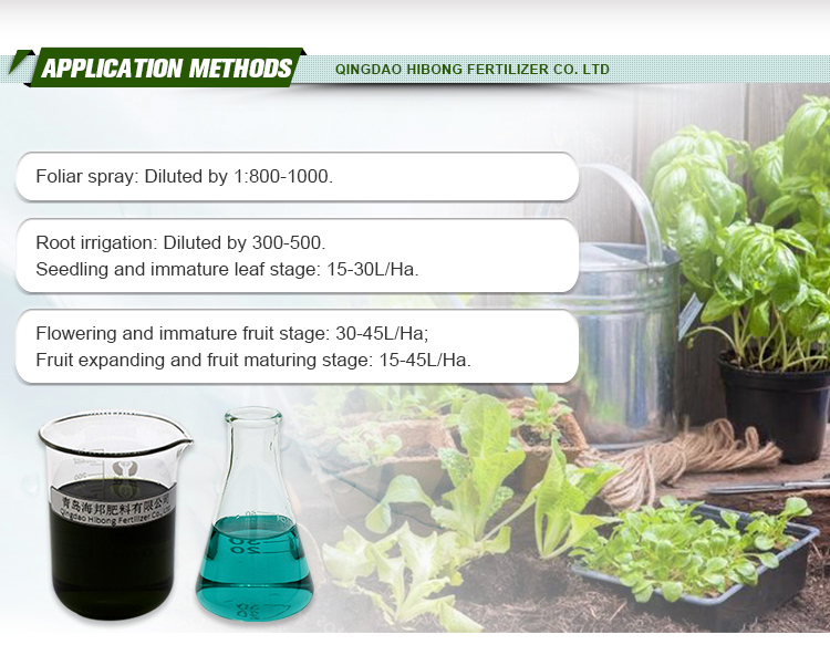 SeaHibong Alga Micronutrients, seaweed calcium & magnesium fertilizer