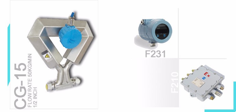 Edible oil mass flow meter