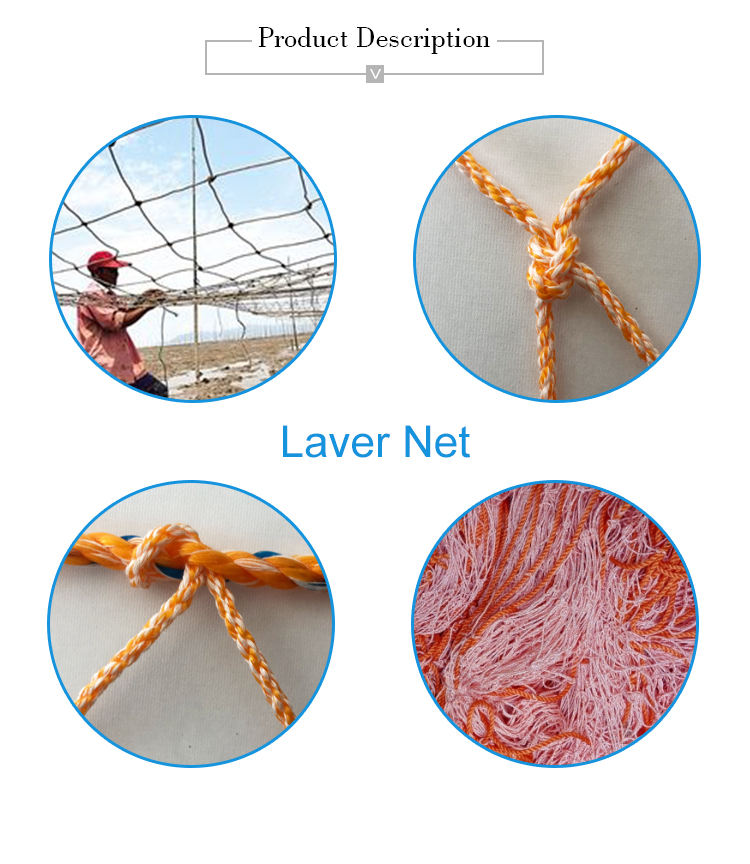 100% virgin HDPE laver seaweed fishing net wholesale manufactures low price China factory