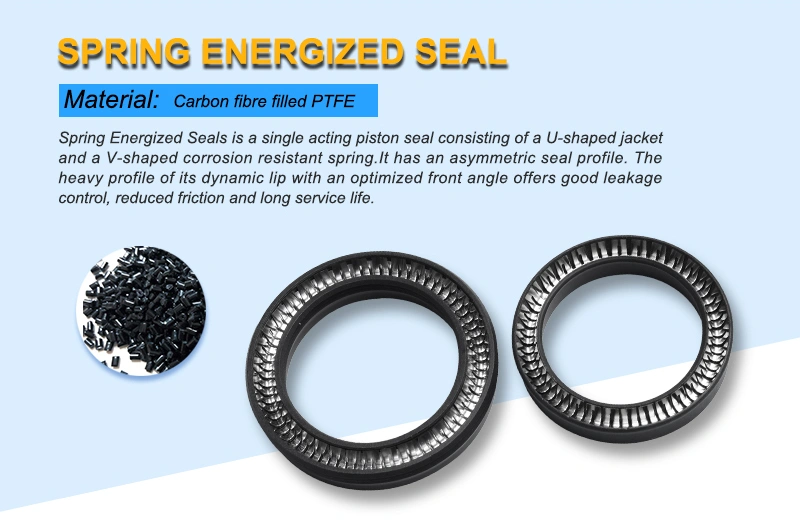 PTFE Scraper Seals with Professional Design (GSZ)