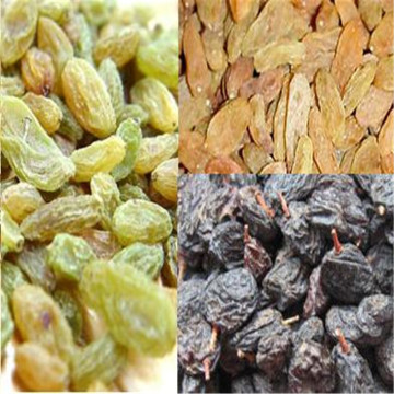 Raisins Dried/ Raisins Without Seeds