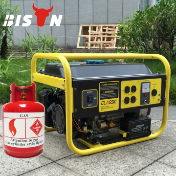 BISON(CHINA) Taizhou Factory Gas Generator Portable Generator Price Gas Generator