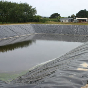 HDPE 0,75 mm Geomembrane Pish Pool Pond Liner