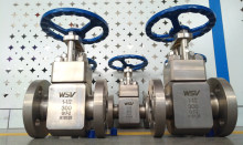 Titanium Gate Valves