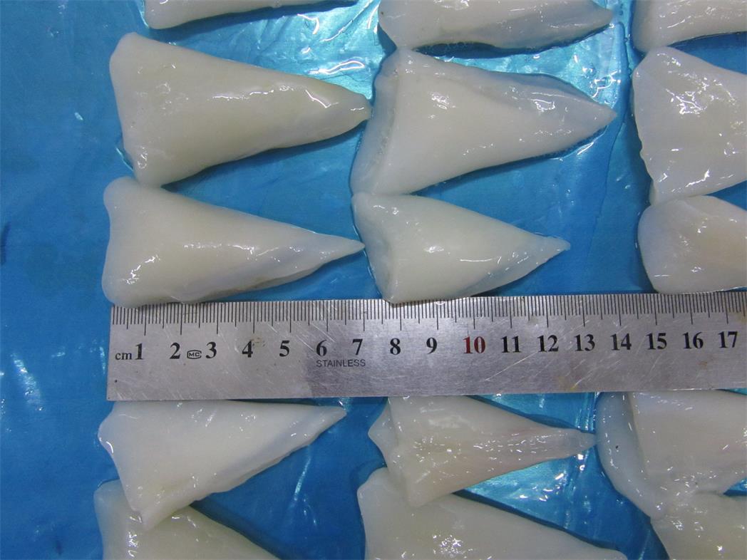 seafood supplier frozen squid tip,squid frozen japanese tip,seafood tip-on squid tip