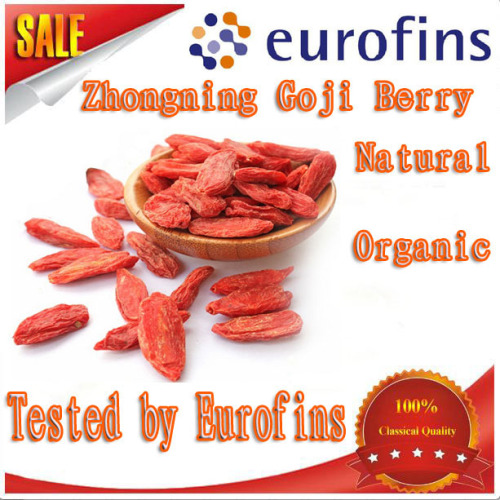 High Quality Fresh Organic Dried Goji Berry