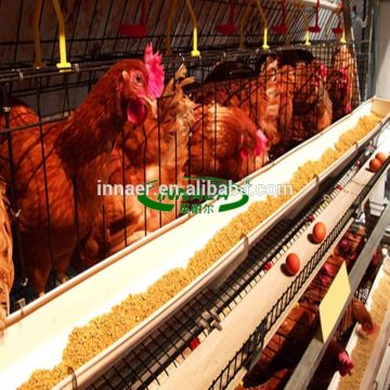 Design poultry cages for laying egg chicken/poultry equipment