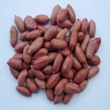 roasted salted peanut with red skin