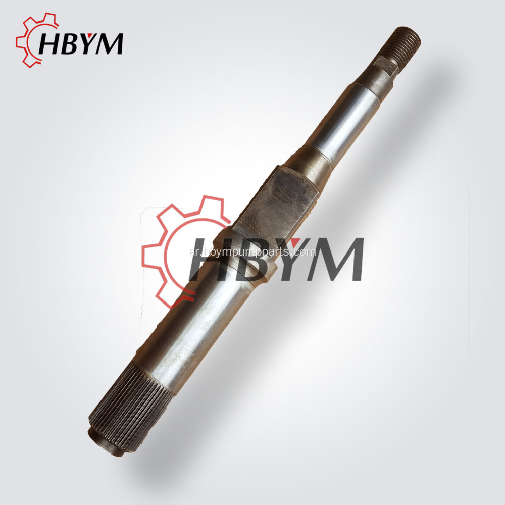 Parts Slewing Shaft For Schwing Concrete Parts