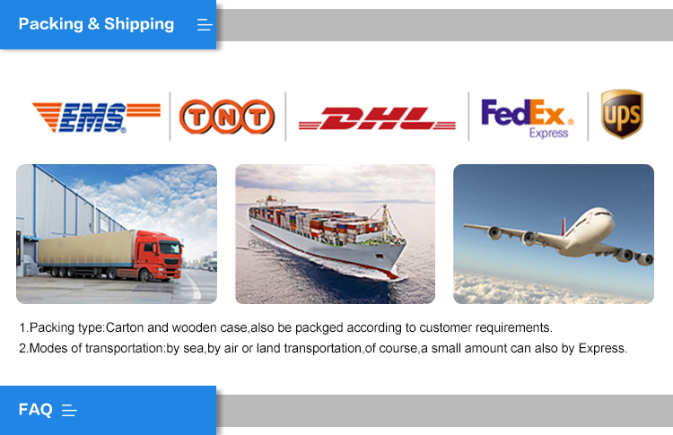 export performance advanced Spin quantum