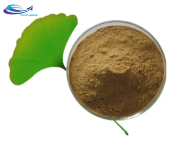 Raw Powder CAS 90045-36-6 Herbal Ginkgo Biloba Extract