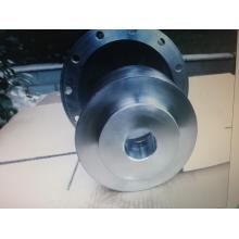 Magnetic Coupling For The Magnetic Pump