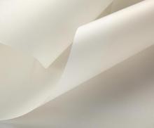 PTFE Cookie Sheet Liner