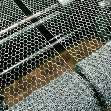 Hot Dipped Galvanized Hexagonal Chicken Wire Mesh