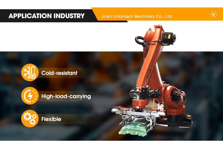 6 Axis Robot Arm For Spray Painting, Palletizing, And Cooking, High ...
