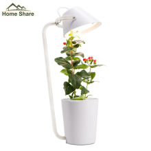 Home Decoration Small Plant Growing Lights with Automatic Timer LED Grow Light for Indoor Plants