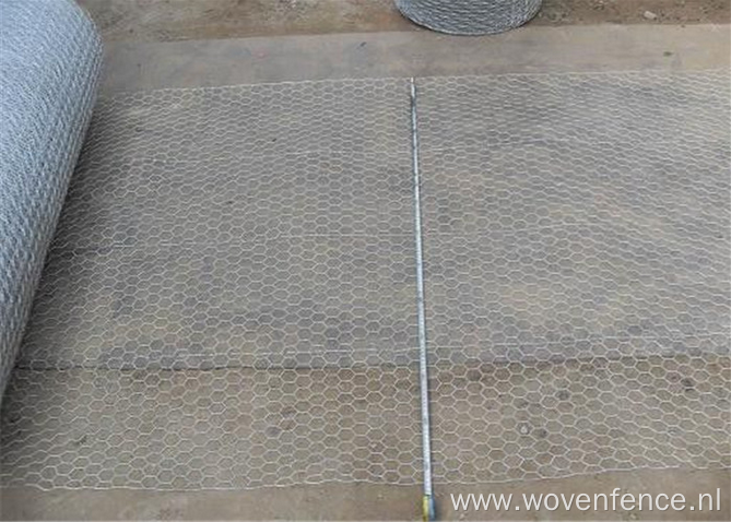 Hexagonal wire mesh with reinforce wire