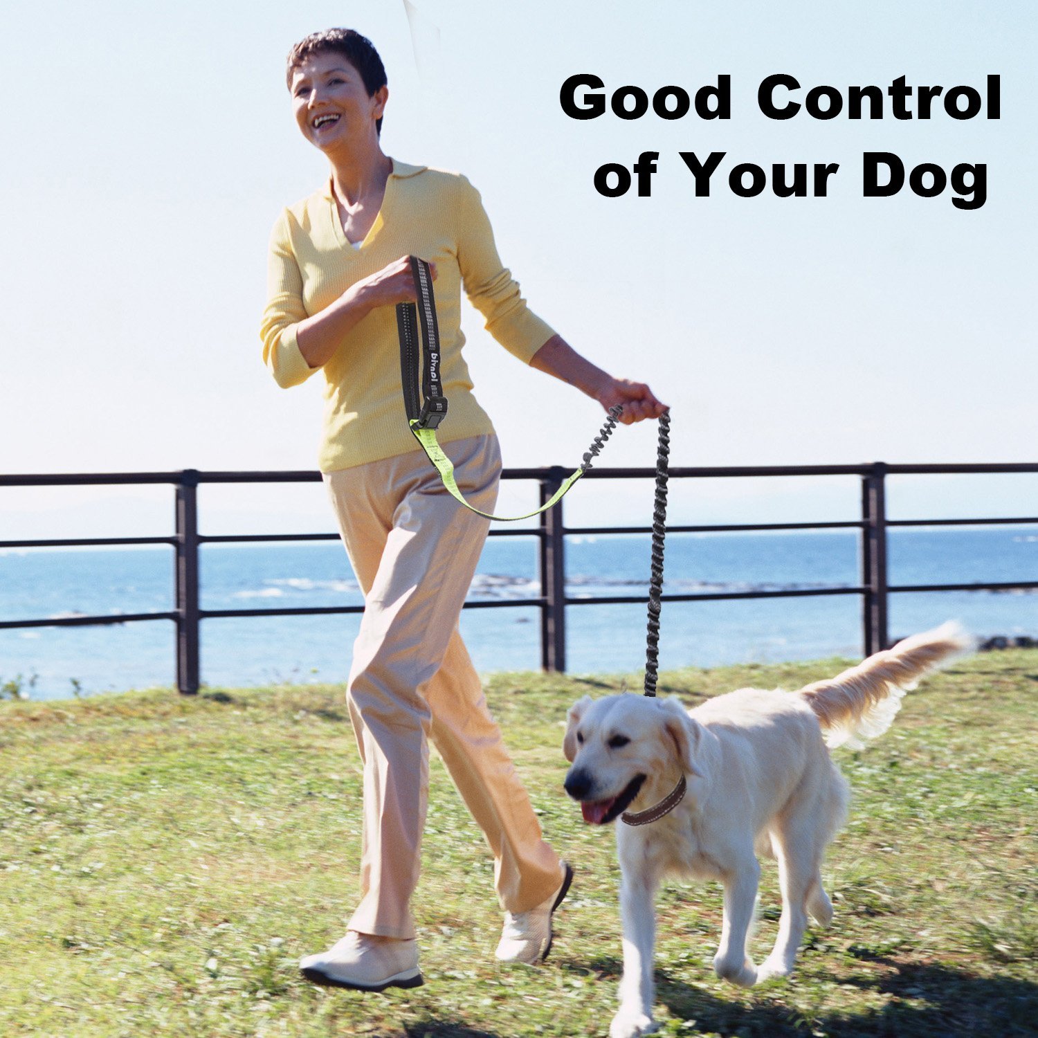 Dog Leash with Waist Pouch