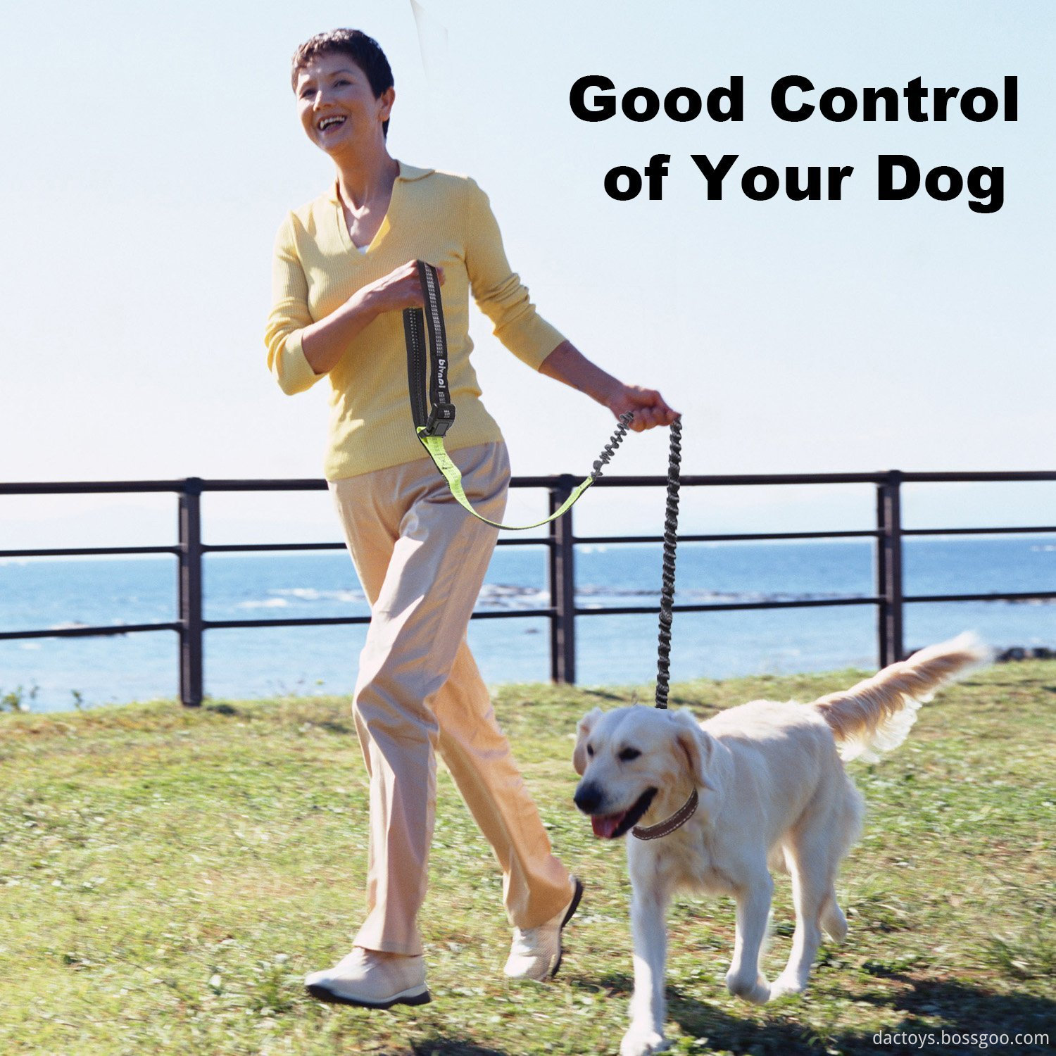 Dog Leash with Waist Pouch