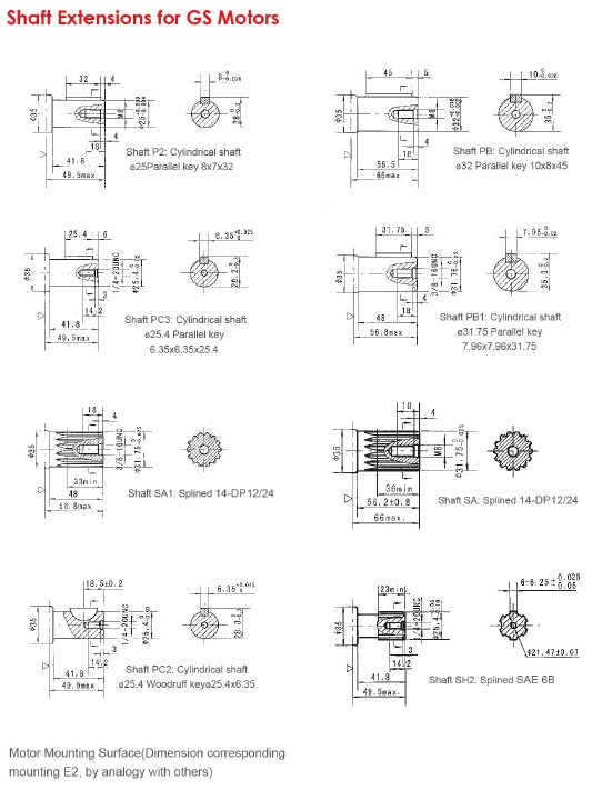 Shaft Extensions for GS Motors