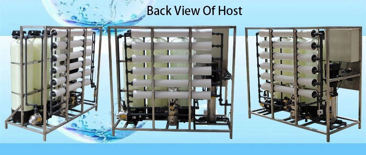 Reverse Osmosis 1000lph Two Stage RO and EDI Deionized RO Water Purifier Treatment Plant Machine