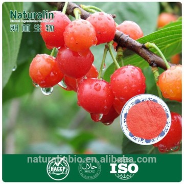 25% Vitamin C Natural Acerola Cherry Extract