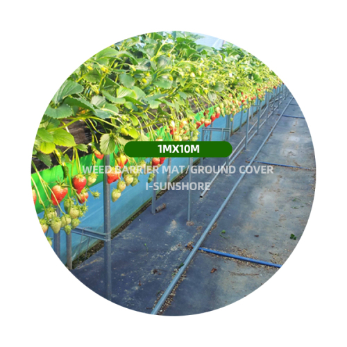 Agricultural Pp Ground Cover Mat