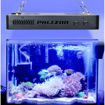 I migliori acquari a LED per acquari Reef