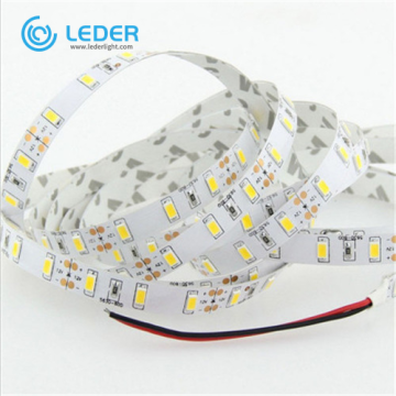 Tira de luz LED simple blanca LEDER