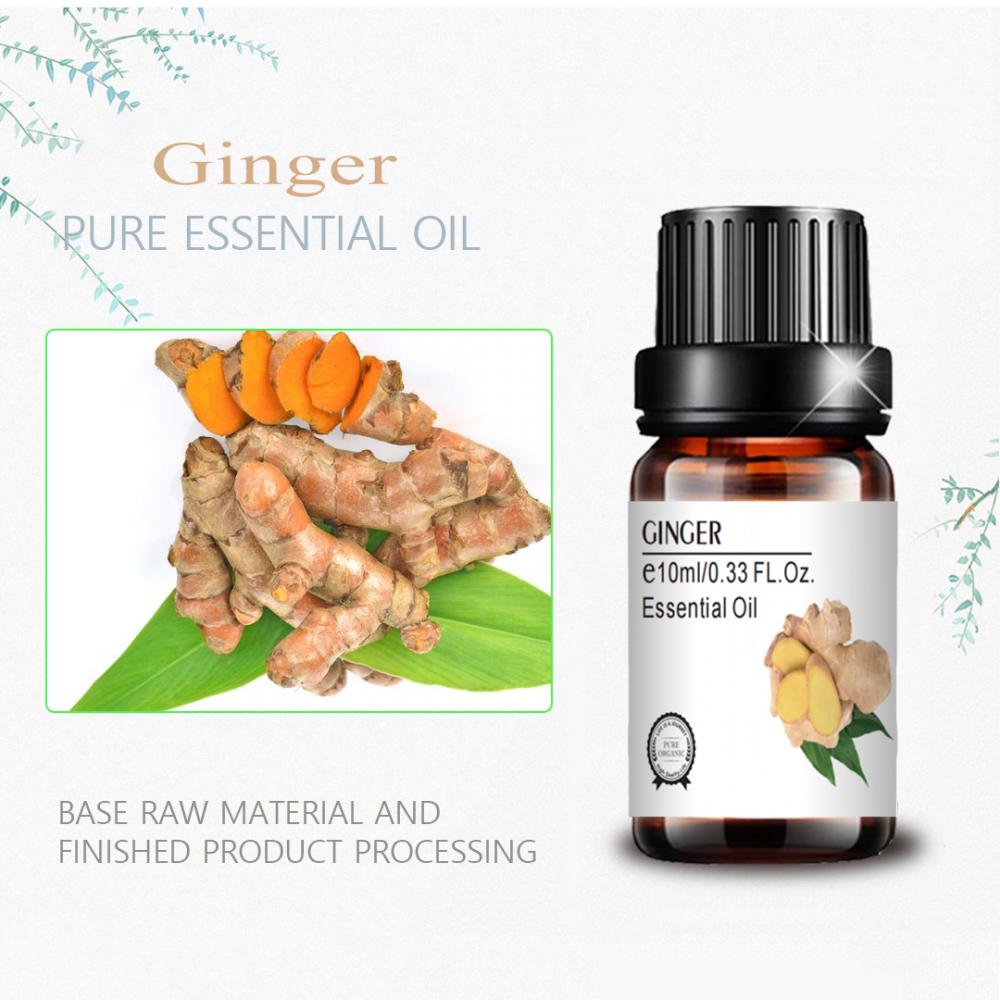 private label 10ml Ginger Essential Oil Body Oil Anti Aging