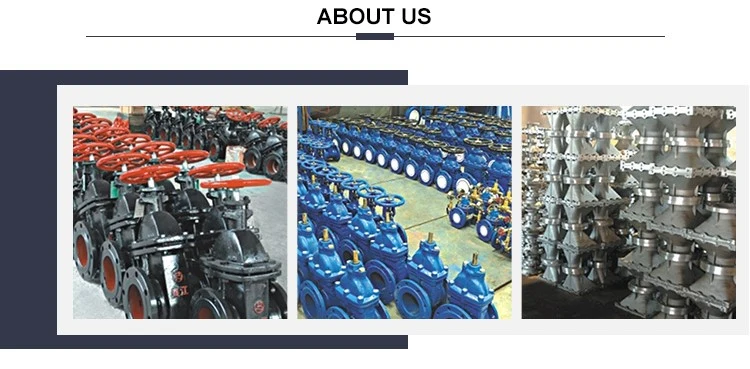 Cast Steel Flange Gate Valve