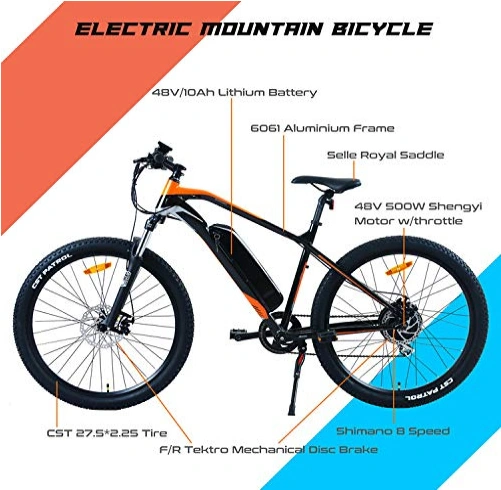 Wholesale Cheap Mountain Electric Bike with En