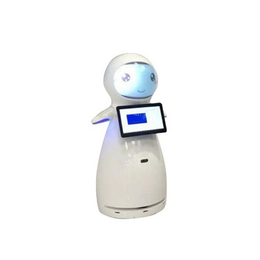 Welcome Interactive Talking Company Robots