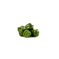 Fresh green color bell pepper