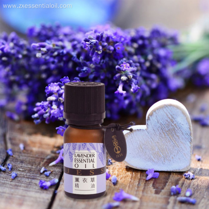 Private Label Wholesale Therapeutic Organic Lavender Oil