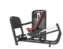 Leg Press/CE Certificate/Chinese Manufacturer
