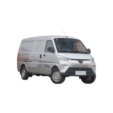 Wuling EV50 two-seater van