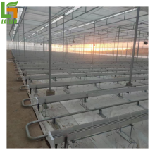 Commercial Greenhouse Hydroponic System for Tomatoes, Cucumbers, and Melons